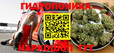 прущие крисы Обь