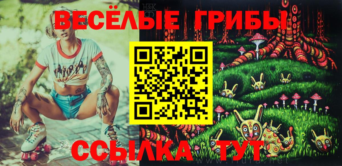 Псилоцибиновые грибы Psilocybe  Вход с VPN  Симферополь  Галлюциногенные грибы Psilocybine cubensis 