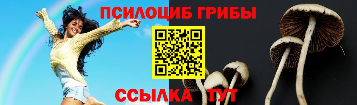 Псилоцибиновые грибы Cubensis Симферополь